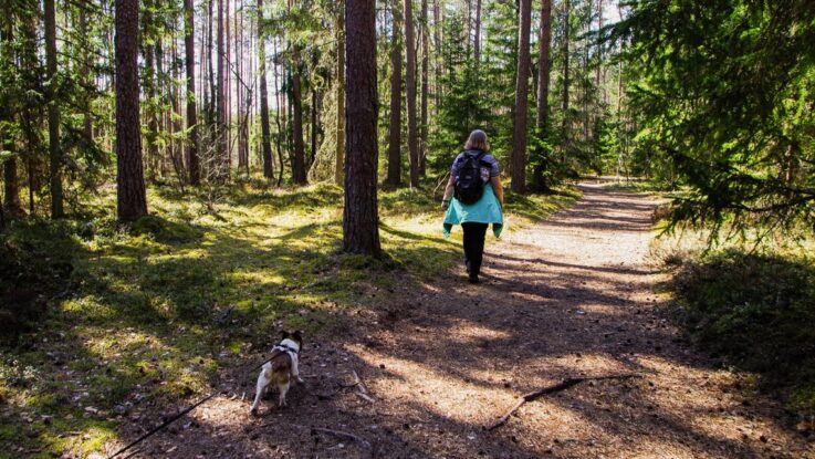 Kvinde går tur med sin hund i skov